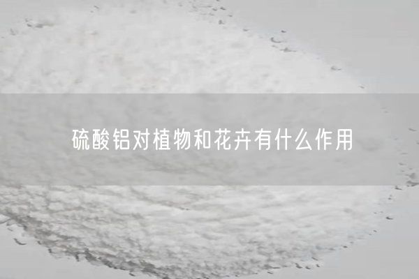 硫酸铝对植物和花卉有什么作用(图6)