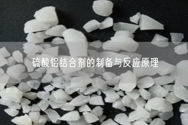 硫酸铝结合剂的制备与反应原理(图8)