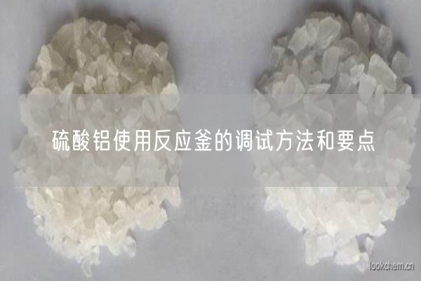 硫酸铝使用反应釜的调试方法和要点(图2)