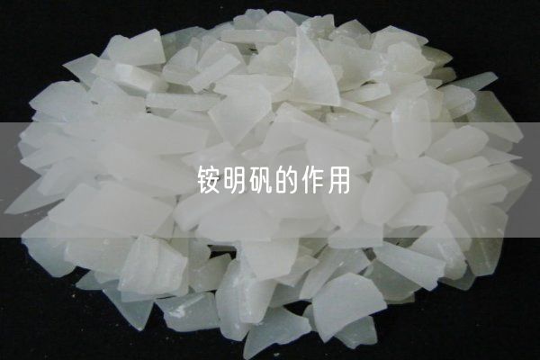 铵明矾的作用