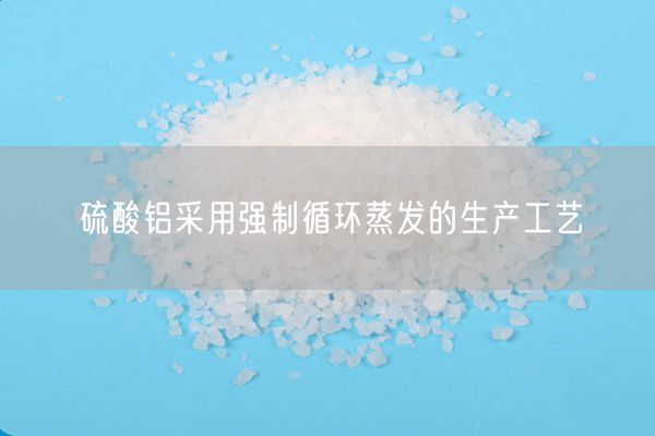 硫酸铝采用强制循环蒸发的生产工艺(图2)