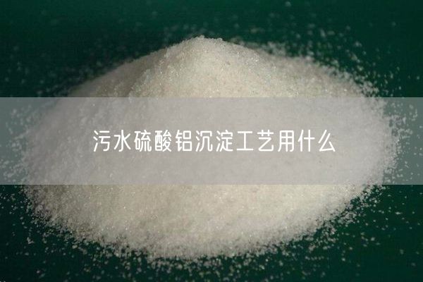 污水硫酸铝沉淀工艺用什么(图2)