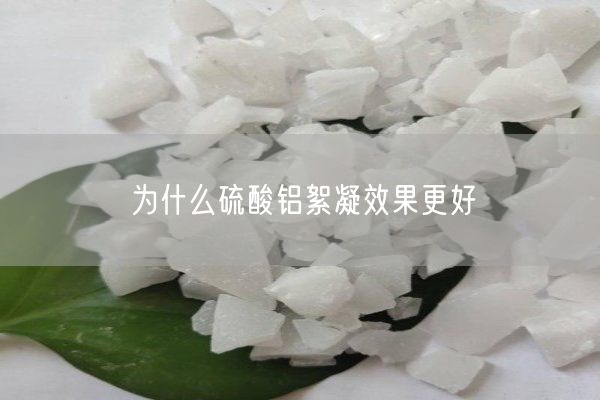 为什么硫酸铝絮凝效果更好