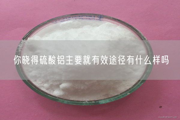 你晓得硫酸铝主要就有效途径有什么样吗(图2)