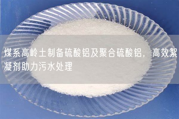 煤系高岭土制备硫酸铝及聚合硫酸铝，高效絮凝剂助力污水处理(图8)